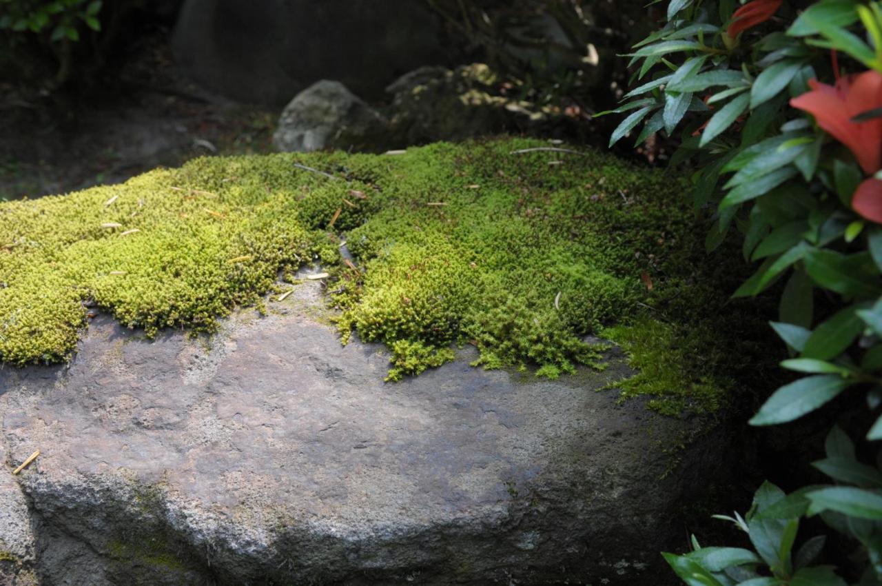 Historical Ryokan Senyukan Owani ภายนอก รูปภาพ