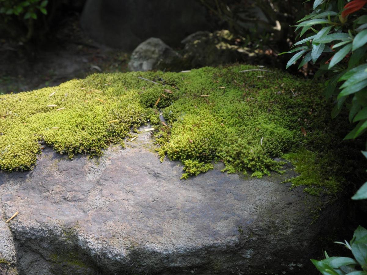 Historical Ryokan Senyukan Owani ภายนอก รูปภาพ